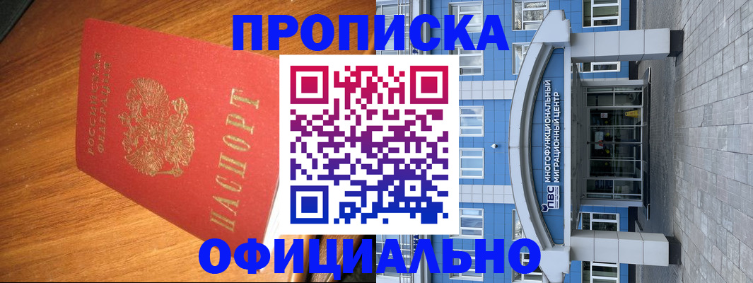 временная регистрация для школы в Щёлково